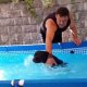 dog in pool picture