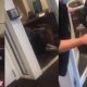 lady fighting over a man