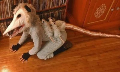 rat halloween custome
