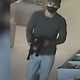 Hobart pet store robber