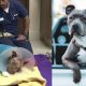 ollie the pitbull