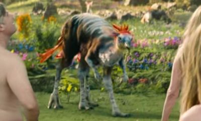 Bronteroc Bird