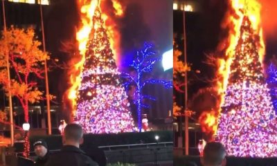 Fox News Christmas Tree fire
