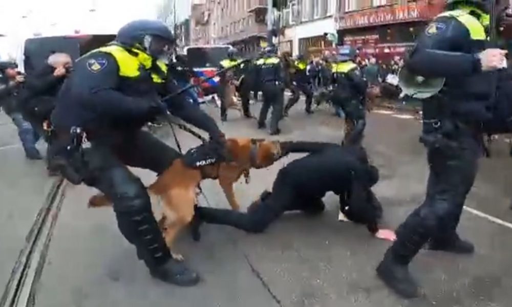 Amsterdam Protest