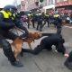 Amsterdam Protest