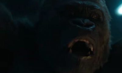Charlie the gorilla