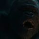 Charlie the gorilla