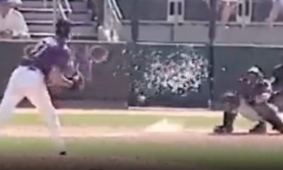 Randy Johnson hits bird