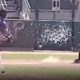 Randy Johnson hits bird