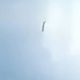 Video of Boeing 737 Crash