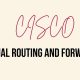 Cisco Virtual Routing and Forwarding