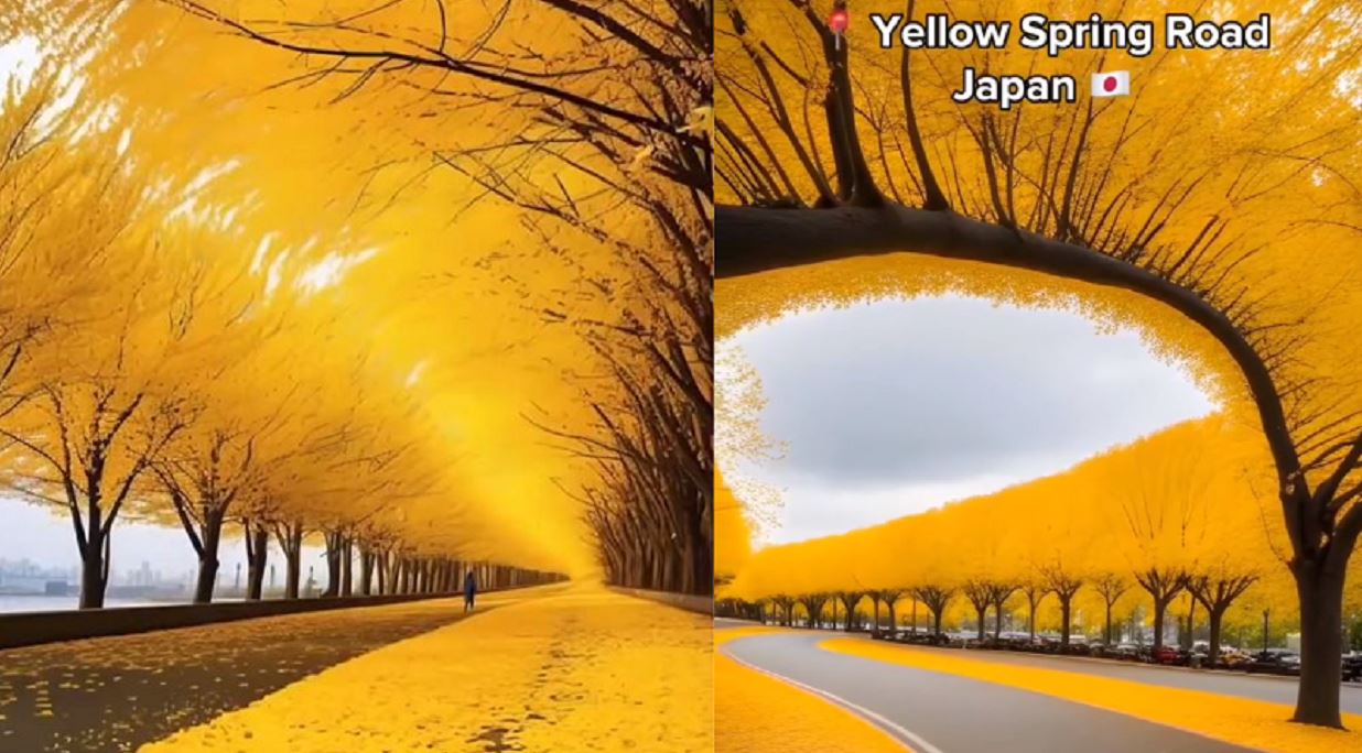 Yellow spring road japan